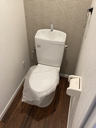 ﾋﾞｭｰﾗｰ後③.JPG